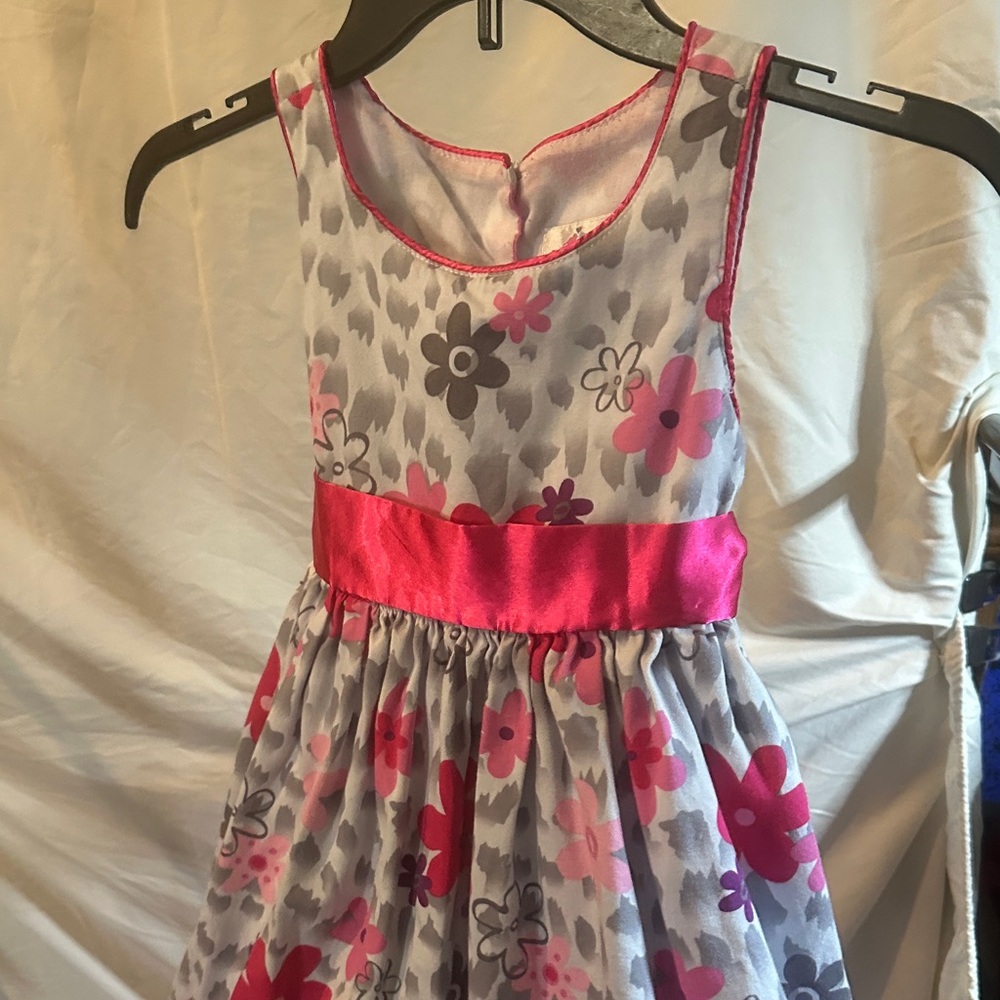Lily bird size 5 Floral Pink and Gray Kids Dress 0012